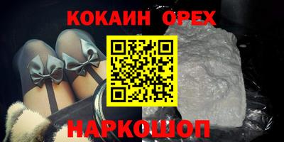 прущие грибы Усть-Илимск
