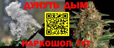 прущие грибы Усть-Илимск