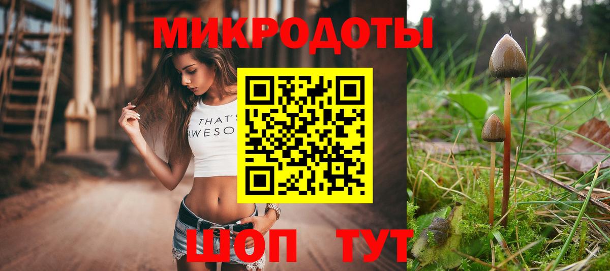 Галлюциногенные грибы MAGIC MUSHROOMS  Вход с VPN  Мыски 