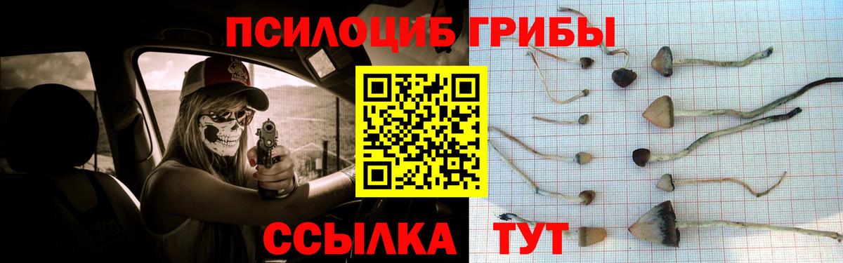 Галлюциногенные грибы MAGIC MUSHROOMS Мыски